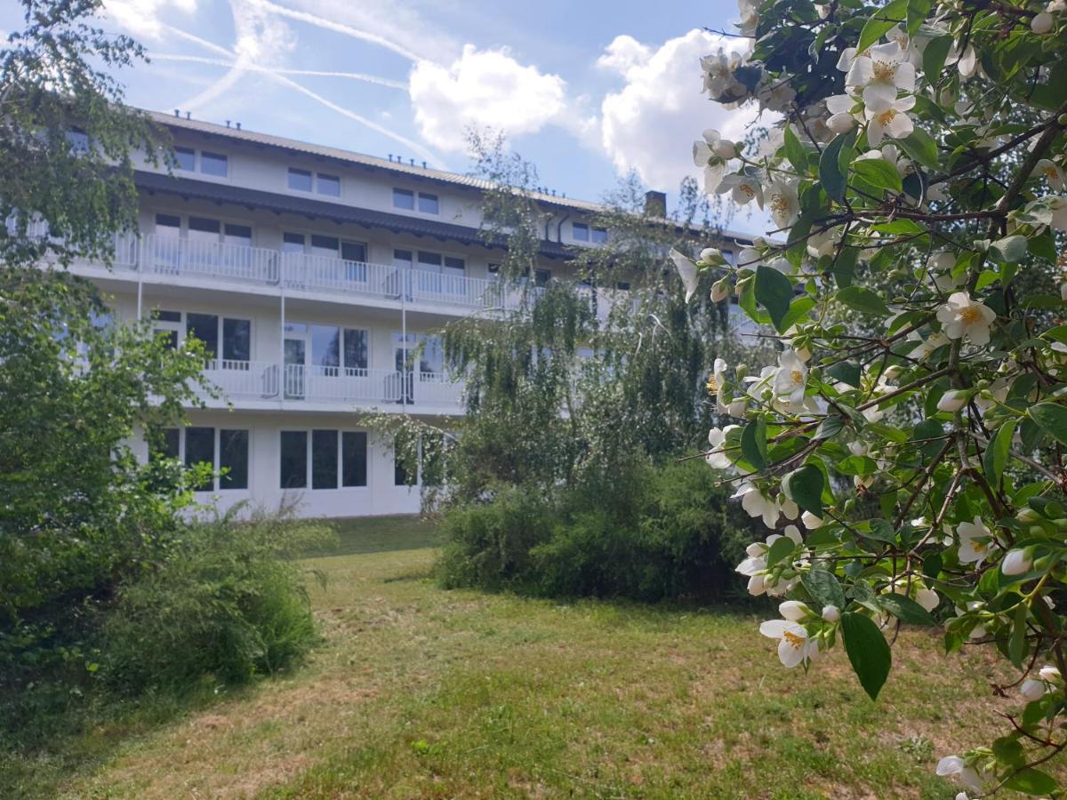 Gaestehaus Hassloch/Pfalz Extérieur photo
